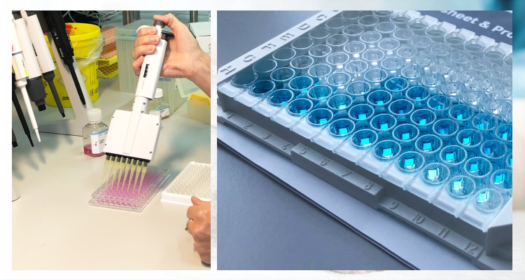 Определение содержания бактериальных эндотоксинов и пирогенных веществ
