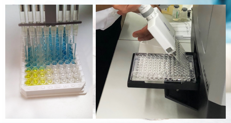 Определение содержания бактериальных эндотоксинов и пирогенных веществ
