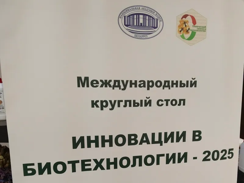 Инновации в действии: итоги круглого стола | Альгимед Трейд