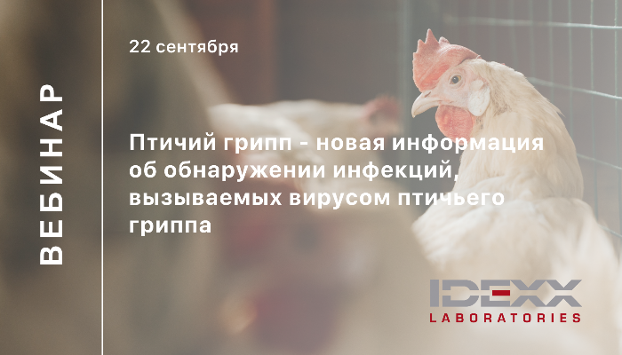 Вебинар "Птичий грипп - новая информация об обнаружении инфекций, вызываемых вирусом птичьего гриппа" | Альгимед