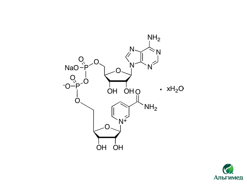 Динуклеотид APCP. Никотинамид аденин динуклеотид (ниацетил), кальций пантотената. Формула динуклеотида 5'-DG-DC. Динуклеотид схематическое изображение.