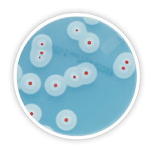 Хромогенная среда RAPID’B.cereus, 12007304, Bio-Rad, 12007304