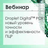 Вебинар Bio-Rad: «Droplet Digital™ PCR Solutions: Elevating PCR to Unparalleled Performance»