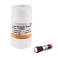 Набор реагентов ProteinExt® Mammalian Extraction Kit (тотальный белок)