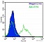 Антитела поликлональные мышиные Anti-Myc tag antibody (FITC), 250 мкг