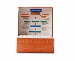 Набор праймеров TransNGS® Index Primers (384) Kit for Illumina®