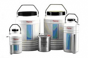 Криоконтейнер 1,5 л, Arctic Express 5, Thermo FS, CY50915