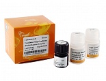 Набор реагентов с люциферазой TransDetect® Single-Luciferase (Firefly) Reporter Assay Kit