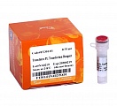 Реагент для трансфекции TransIntro™ PL Transfection Reagent