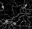 Антитела поликлональные кроличьи Anti-Melanopsin, 100 мкг