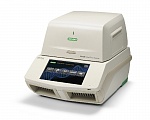 Амплификатор С1000 Touch Thermal Cycler