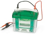 Камера для вертикального электрофореза Mini-Protean Tetra Cell