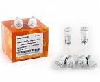 Набор реагентов TransNGS® rRNA Depletion Kit (человек/мышь/крыса)