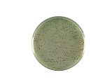 Хромогенная среда RAPID’Campylobacter