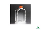 Флакон Corning® культуральный, Corning, 431080
