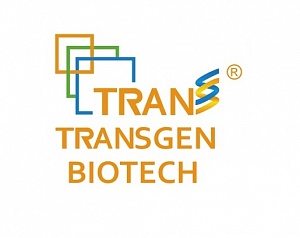 Полимераза Bst II DNA Polymerase, TransGen Biotech, LP301-01-02