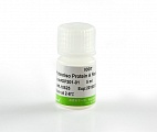 Реагент ProteinIso® Protein A Resin