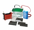 Камера для блоттинга Mini Trans-Blot Electrophoretic Transfer Cell
