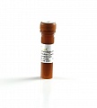Смесь ингибиторов фосфатаз ProteinExt™ Phosphatase Inhibitor Cocktail (100×)