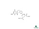 Стандартный референтный образец Пеметрексед динатрий, USP, 1500659