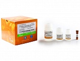 Набор реагентов ProteinExt® Mammalian Extraction Kit (белок мембран)