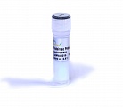 Реагент ProteinIso® Protein A/G Resin