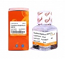 Среда для трансфекции TransDetect® BrightFluore DMEM
