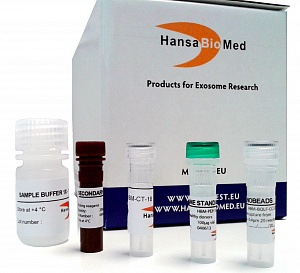 Набор Exo-FACS для анализа экзосомальных маркеров клеточных культур, HansaBioMed, HBM-FACS-C
