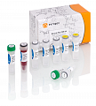 ДНК-полимераза Encyclo Plus, 200 реакций, 25 мкл, Евроген