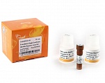 Набор реагентов с люциферазой TransDetect® Single-Luciferase Reporter (Renilla) Assay Kit