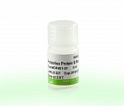 Реагент ProteinIso® Protein G Resin