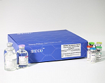 Набор Bioendo для хромогенного анализа по конечной точке с диазо-реактивом, 80 определений