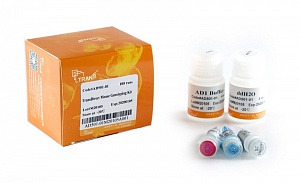 Набор реагентов для прямой ПЦР TransDirect® Mouse Genotyping Kit, TransGen Biotech, AD501-01-02