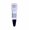 Маркер Blue Plus® V Protein Marker (10-190 кДа)