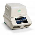 Амплификатор Real-time CFX96 Touch Deep Well