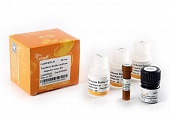 Набор реагентов с люциферазами (Renilla + Firefly) TransDetect® Double-Luciferase Reporter Assay Kit
