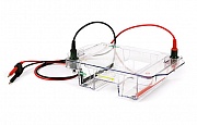 Камеры для горизонтального электрофореза Wide Mini-Sub Cell GT