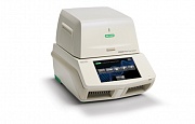 Амплификатор CFX 384 Touch