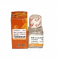 Буфер для лизиса эритроцитов RBC Lysis Buffer (1×)