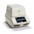 Термоциклер для амплификации нуклеиновых кислот: модель С1000 Touch Thermal Cycler в составе c модулем оптическим реакционным CFX96