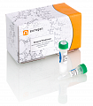 ДНК-полимераза Encyclo, 1000 реакций, 25 мкл, Евроген